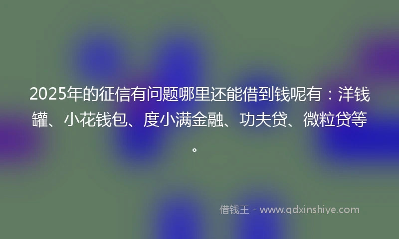 2025年的征信有问题哪里还能借到钱呢有:洋钱罐、小花钱包、度小满金融、功夫贷、微粒贷等。