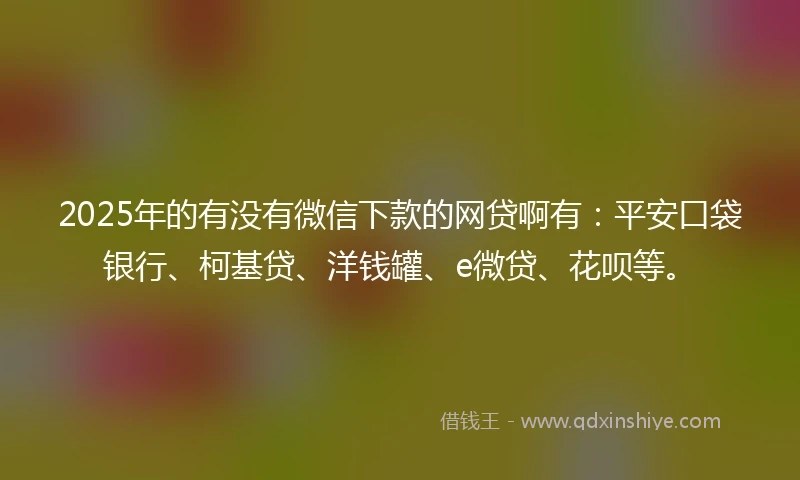 2025年的有没有微信下款的网贷啊有：平安口袋银行、柯基贷、洋钱罐、e微贷、花呗等。