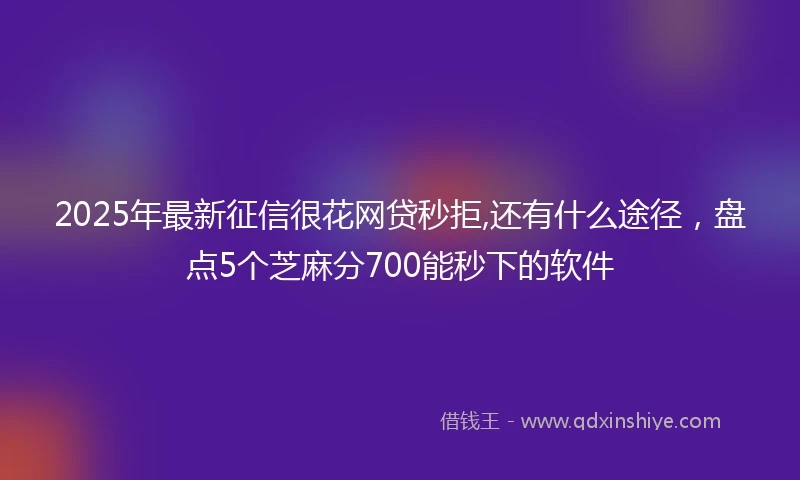 2025年最新征信很花网贷秒拒,还有什么途径,盘点5个芝麻分700能秒下的软件