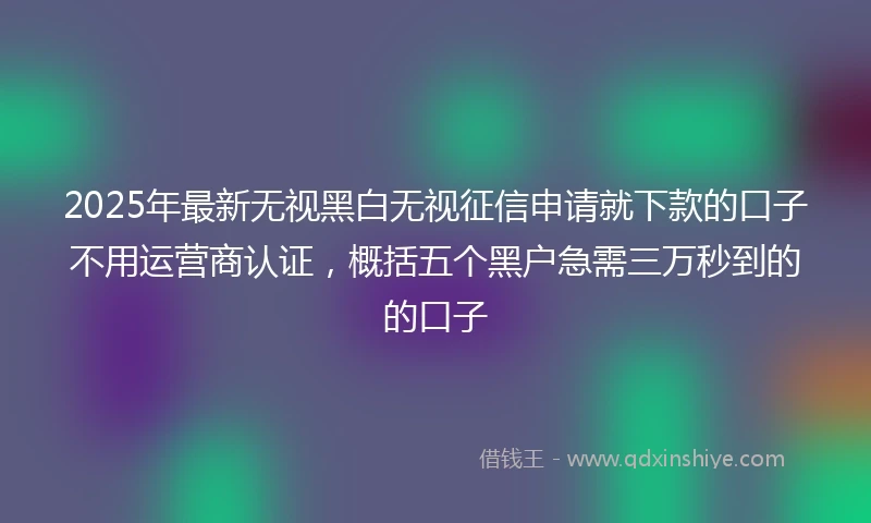 2025年最新无视黑白无视征信申请就下款的口子不用运营商认证，概括五个黑户急需三万秒到的的口子