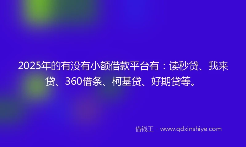 2025年的有没有小额借款平台有：读秒贷、我来贷、360借条、柯基贷、好期贷等。