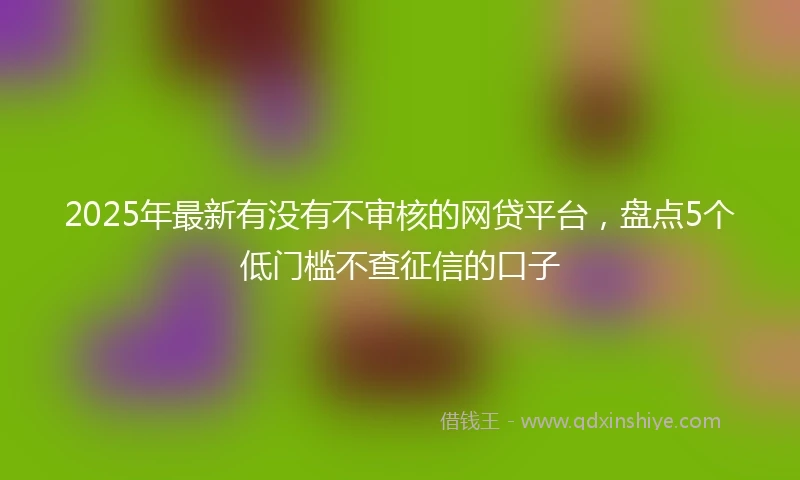 2025年最新有没有不审核的网贷平台，盘点5个低门槛不查征信的口子