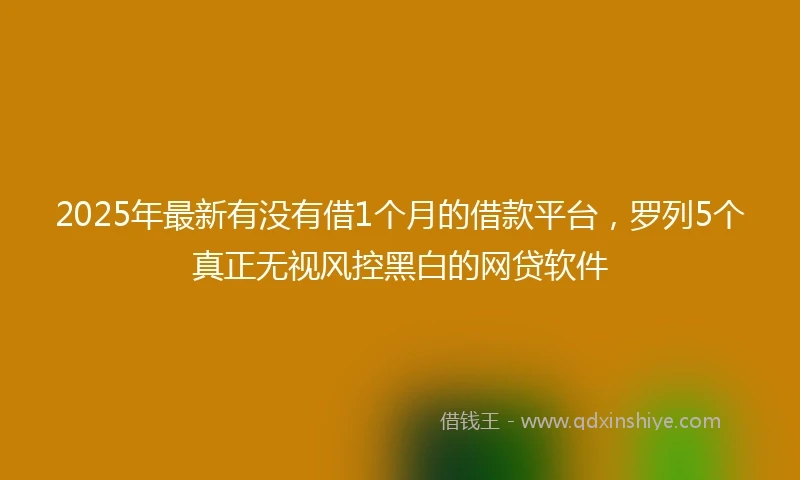 2025年最新有没有借1个月的借款平台，罗列5个真正无视风控黑白的网贷软件