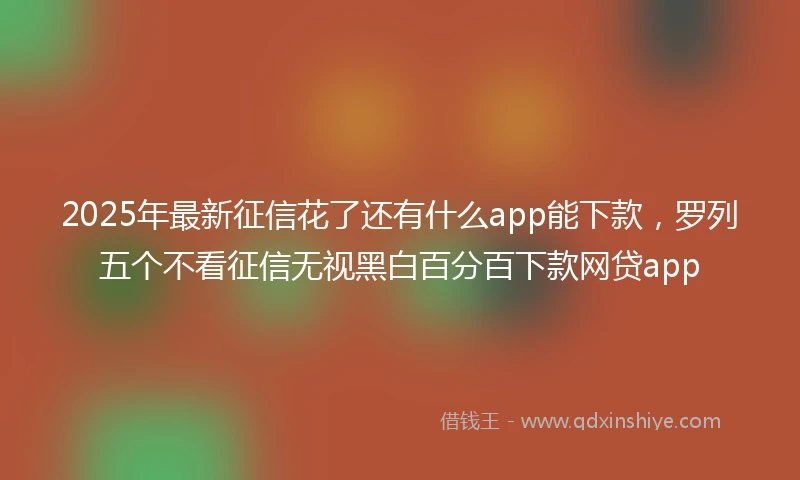 2025年最新征信花了还有什么app能下款，罗列五个不看征信无视黑白百分百下款网贷app