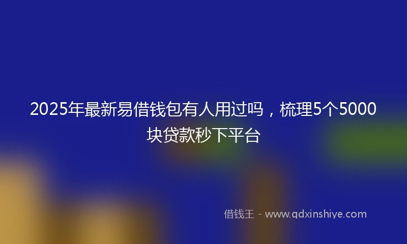 2025年最新易借钱包有人用过吗，梳理5个5000块贷款秒下平台