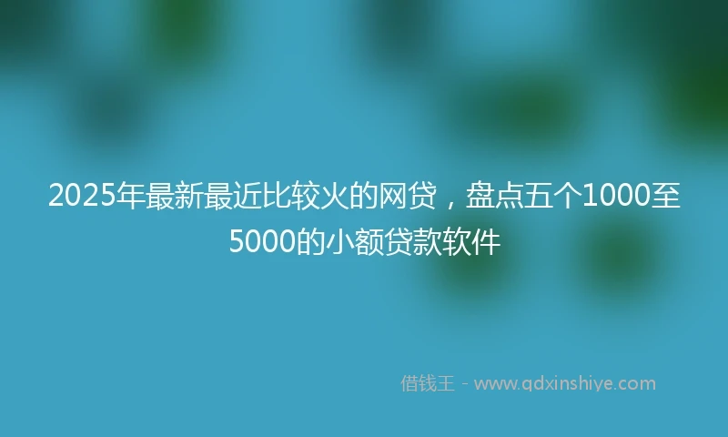 2025年最新最近比较火的网贷，盘点五个1000至5000的小额贷款软件