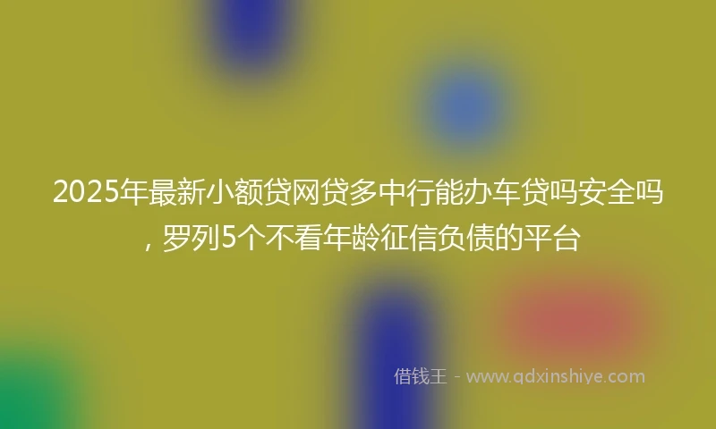 2025年最新小额贷网贷多中行能办车贷吗安全吗，罗列5个不看年龄征信负债的平台