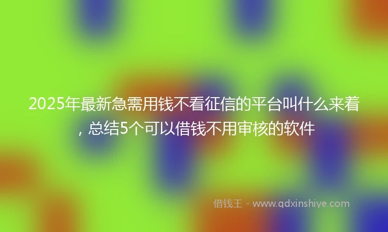 2025年最新急需用钱不看征信的平台叫什么来着，总结5个可以借钱不用审核的软件