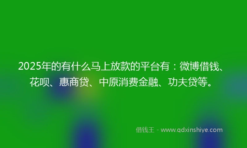 2025年的有什么马上放款的平台有：微博借钱、花呗、惠商贷、中原消费金融、功夫贷等。