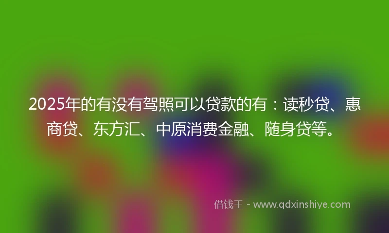 2025年的有没有驾照可以贷款的有：读秒贷、惠商贷、东方汇、中原消费金融、随身贷等。