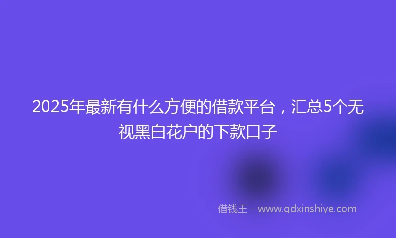 2025年最新有什么方便的借款平台，汇总5个无视黑白花户的下款口子