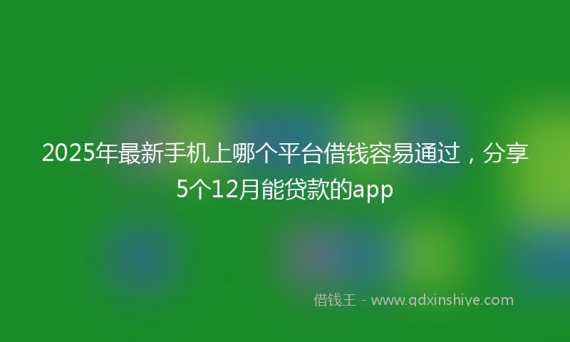 2025年最新手机上哪个平台借钱容易通过，分享5个12月能贷款的app