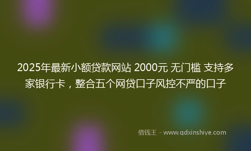 2025年最新小额贷款网站 2000元 无门槛 支持多家银行卡，整合五个网贷口子风控不严的口子