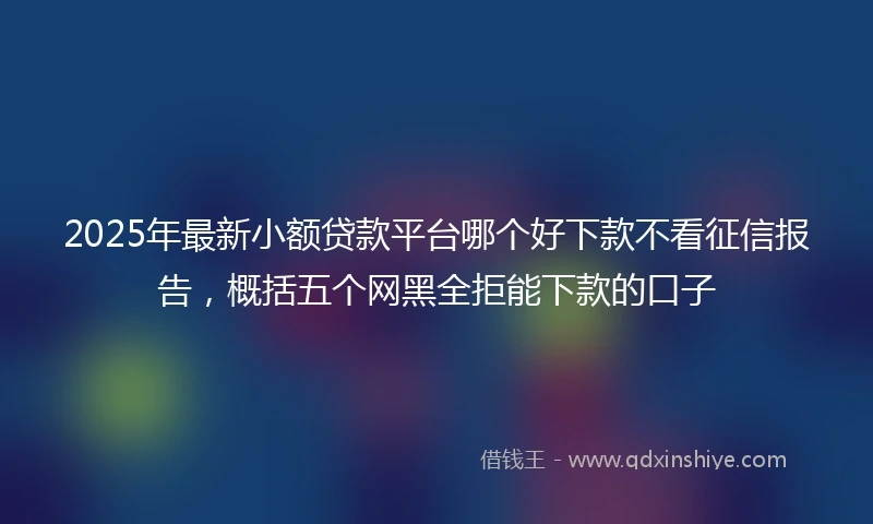 2025年最新小额贷款平台哪个好下款不看征信报告，概括五个网黑全拒能下款的口子