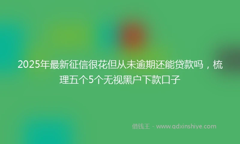 2025年最新征信很花但从未逾期还能贷款吗，梳理五个5个无视黑户下款口子