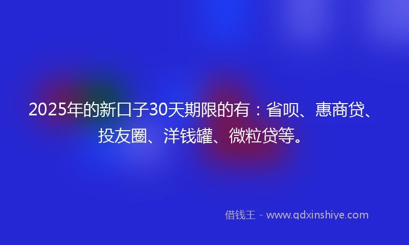 2025年的新口子30天期限的有：省呗、惠商贷、投友圈、洋钱罐、微粒贷等。