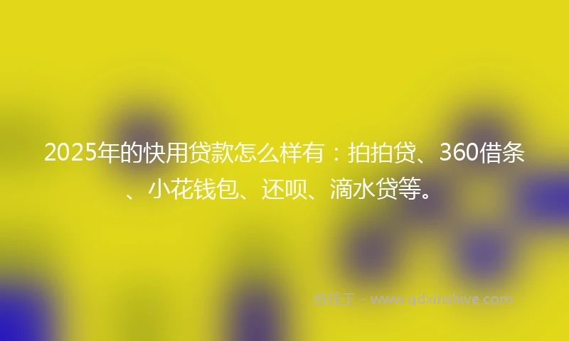 2025年的快用贷款怎么样有：拍拍贷、360借条、小花钱包、还呗、滴水贷等。