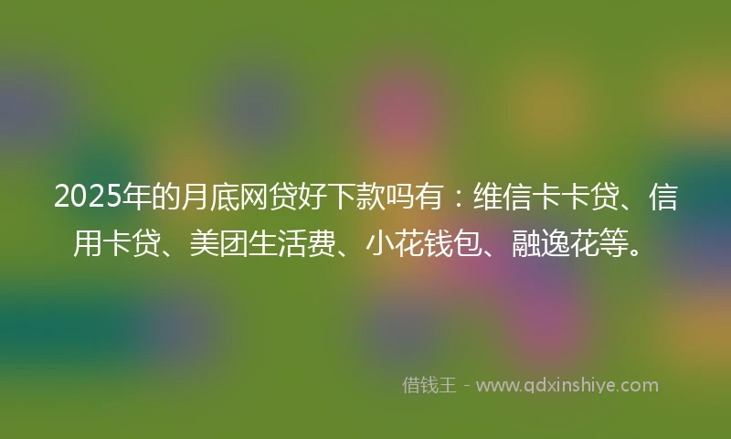 2025年的月底网贷好下款吗有：维信卡卡贷、信用卡贷、美团生活费、小花钱包、融逸花等。