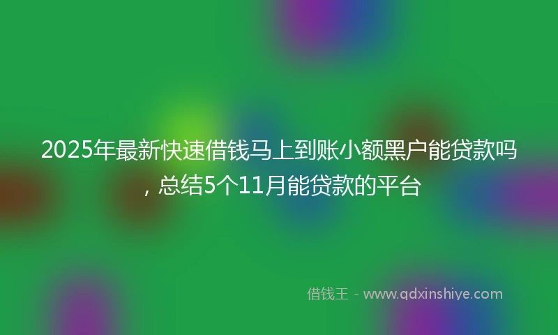 2025年最新快速借钱马上到账小额黑户能贷款吗，总结5个11月能贷款的平台