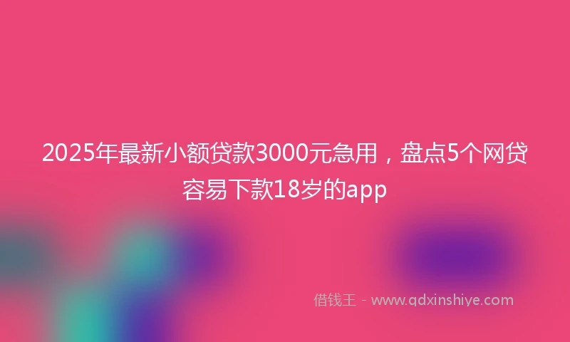 2025年最新小额贷款3000元急用，盘点5个网贷容易下款18岁的app