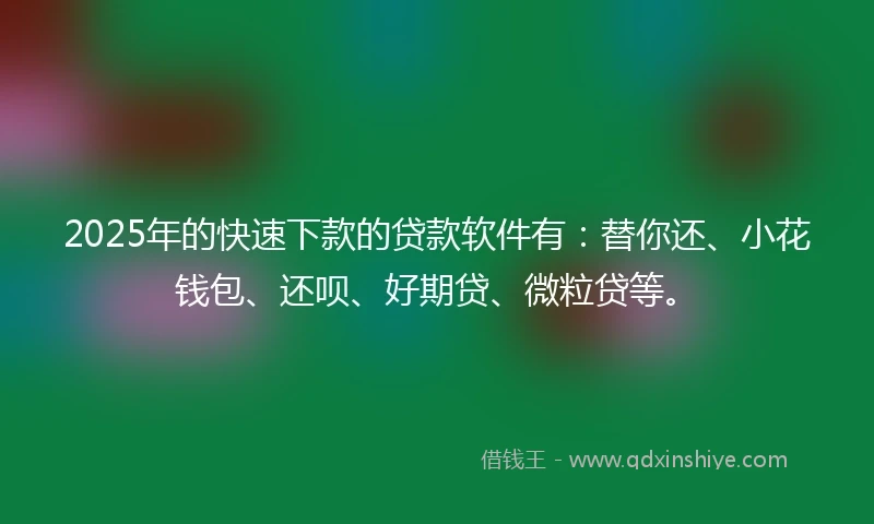 2025年的快速下款的贷款软件有：替你还、小花钱包、还呗、好期贷、微粒贷等。