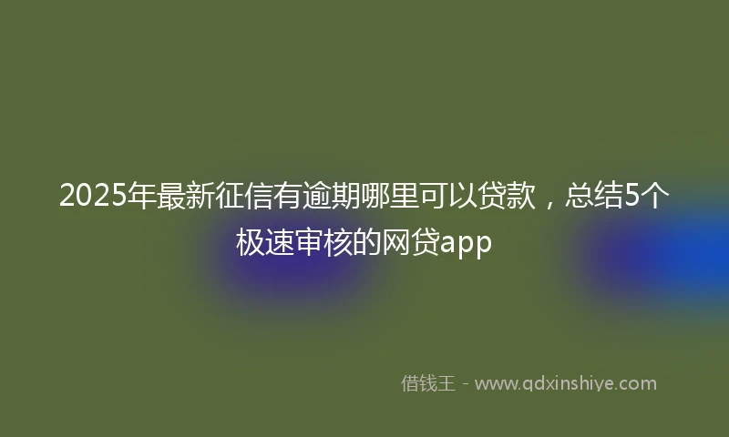 2025年最新征信有逾期哪里可以贷款，总结5个极速审核的网贷app