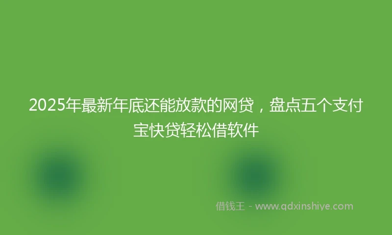 2025年最新年底还能放款的网贷，盘点五个支付宝快贷轻松借软件