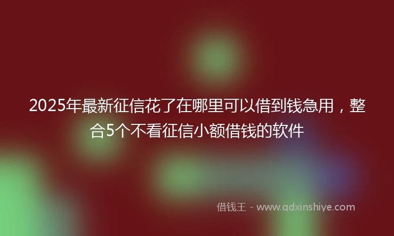 2025年最新征信花了在哪里可以借到钱急用，整合5个不看征信小额借钱的软件