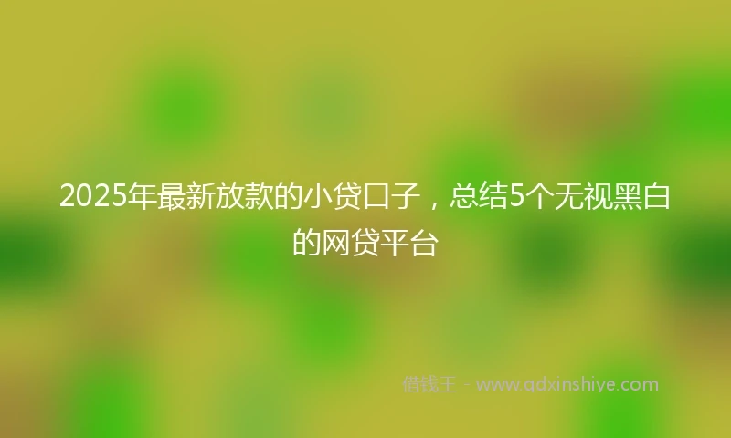 2025年最新放款的小贷口子，总结5个无视黑白的网贷平台