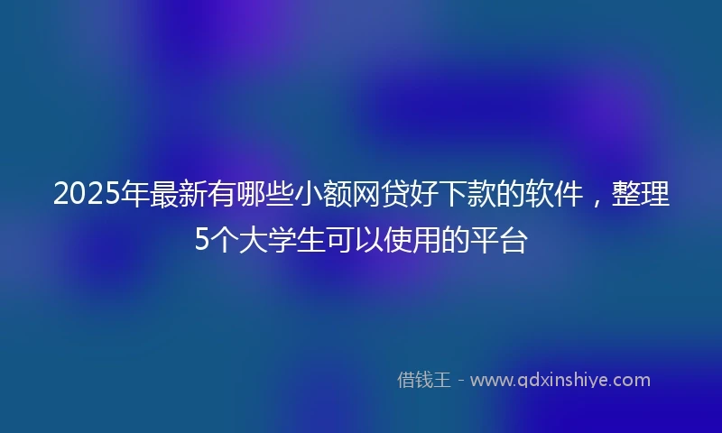 2025年最新有哪些小额网贷好下款的软件，整理5个大学生可以使用的平台