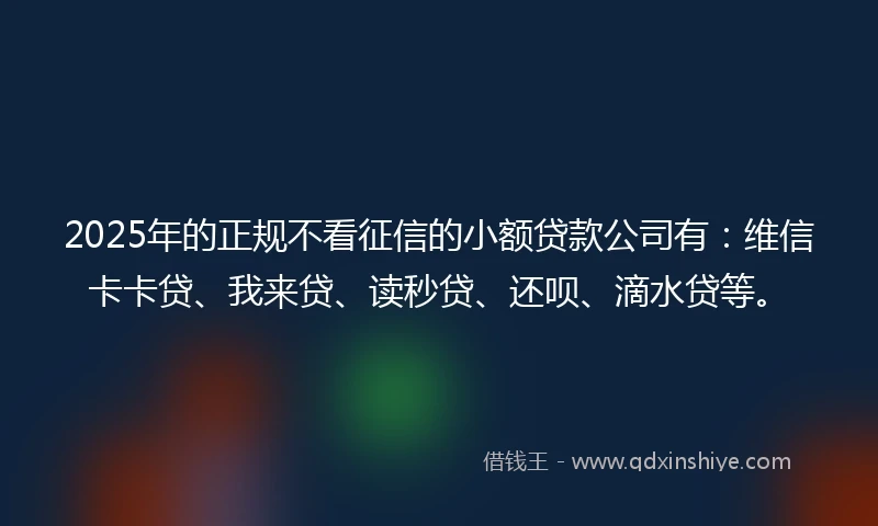 2025年的正规不看征信的小额贷款公司有：维信卡卡贷、我来贷、读秒贷、还呗、滴水贷等。