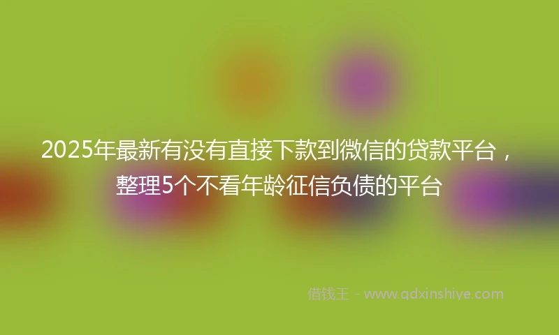 2025年最新有没有直接下款到微信的贷款平台，整理5个不看年龄征信负债的平台