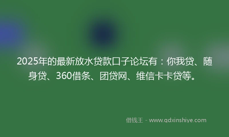 2025年的最新放水贷款口子论坛有：你我贷、随身贷、360借条、团贷网、维信卡卡贷等。