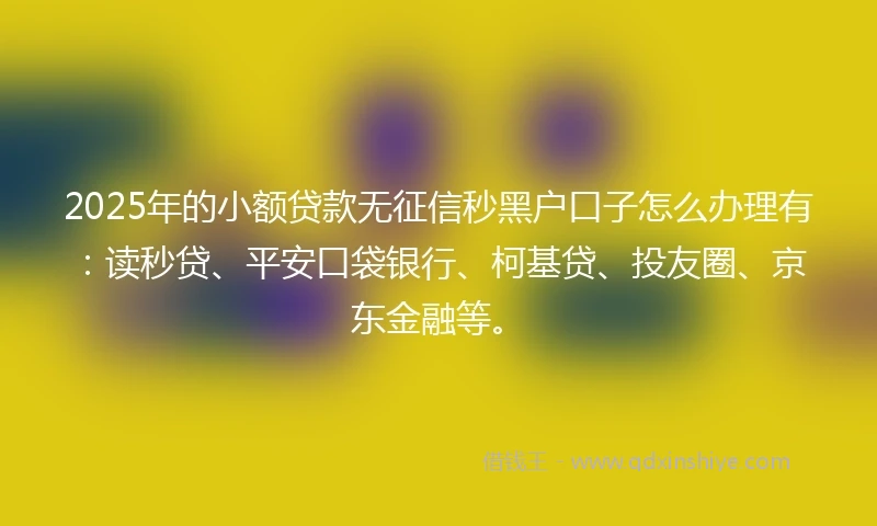 2025年的小额贷款无征信秒黑户口子怎么办理有：读秒贷、平安口袋银行、柯基贷、投友圈、京东金融等。