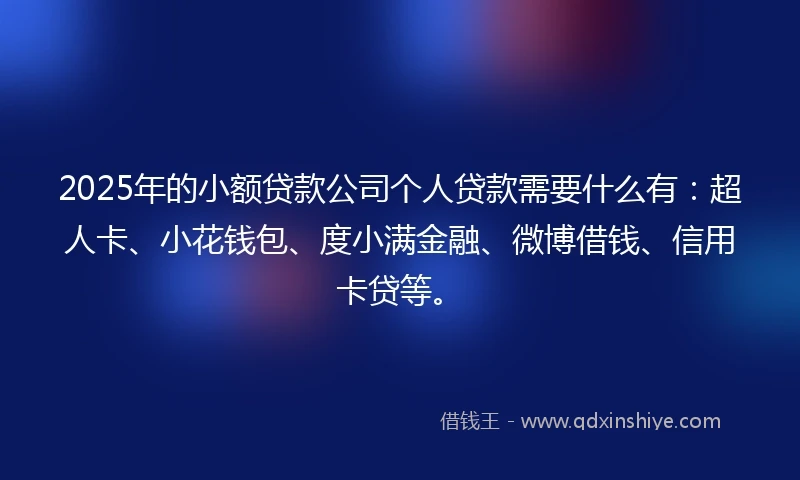 2025年的小额贷款公司个人贷款需要什么有：超人卡、小花钱包、度小满金融、微博借钱、信用卡贷等。