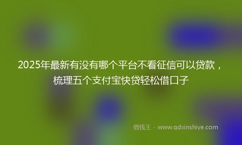 2025年最新有没有哪个平台不看征信可以贷款，梳理五个支付宝快贷轻松借口子