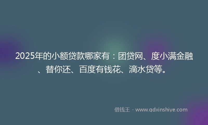 2025年的小额贷款哪家有：团贷网、度小满金融、替你还、百度有钱花、滴水贷等。