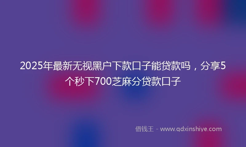 2025年最新无视黑户下款口子能贷款吗，分享5个秒下700芝麻分贷款口子