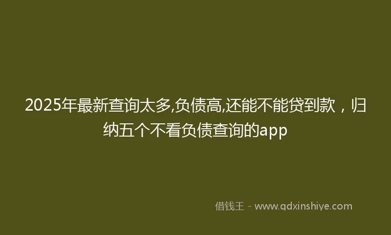2025年最新查询太多,负债高,还能不能贷到款，归纳五个不看负债查询的app