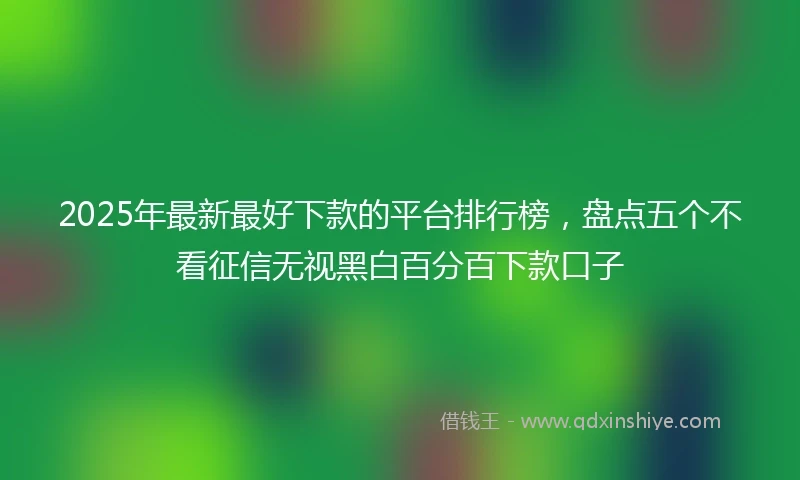 2025年最新最好下款的平台排行榜，盘点五个不看征信无视黑白百分百下款口子