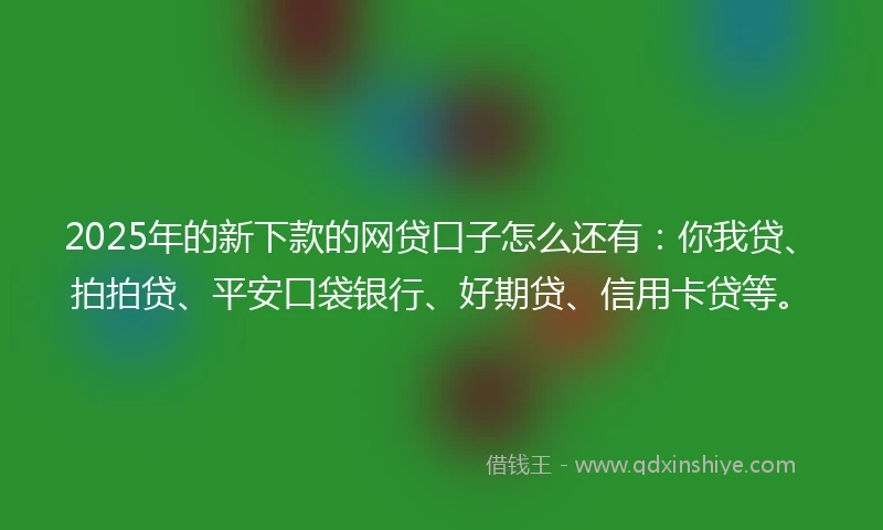 2025年的新下款的网贷口子怎么还有：你我贷、拍拍贷、平安口袋银行、好期贷、信用卡贷等。