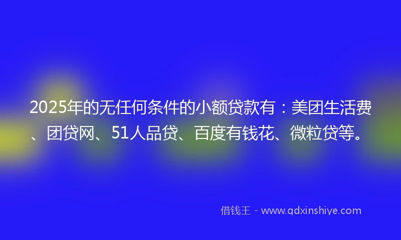 2025年的无任何条件的小额贷款有：美团生活费、团贷网、51人品贷、百度有钱花、微粒贷等。