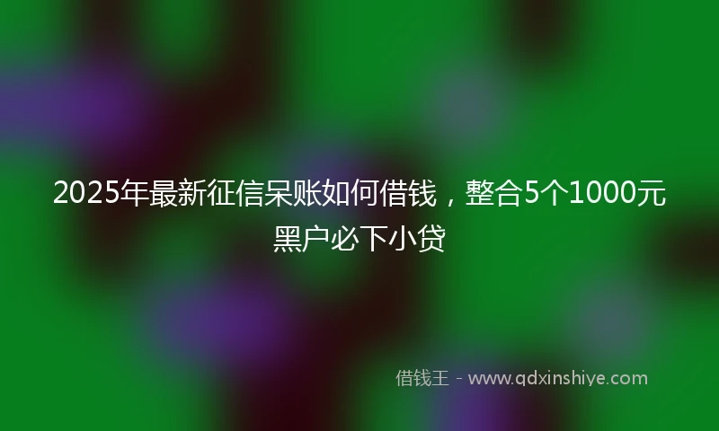 2025年最新征信呆账如何借钱，整合5个1000元黑户必下小贷