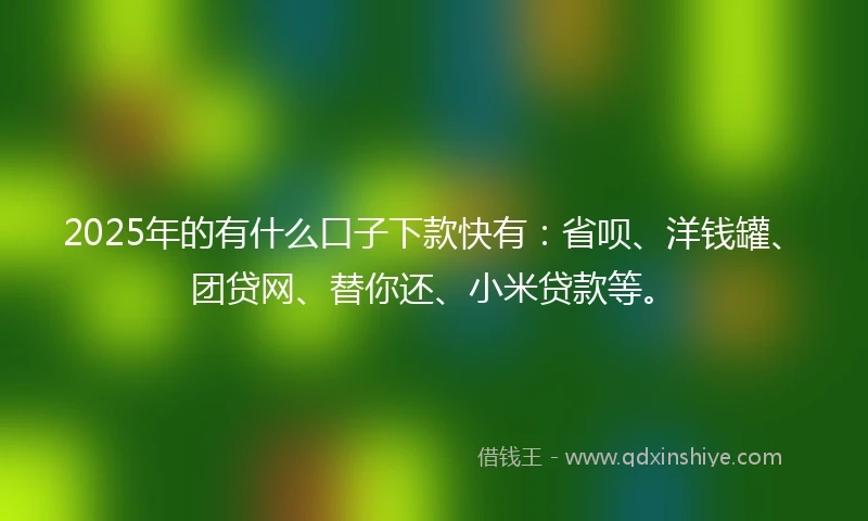 2025年的有什么口子下款快有：省呗、洋钱罐、团贷网、替你还、小米贷款等。