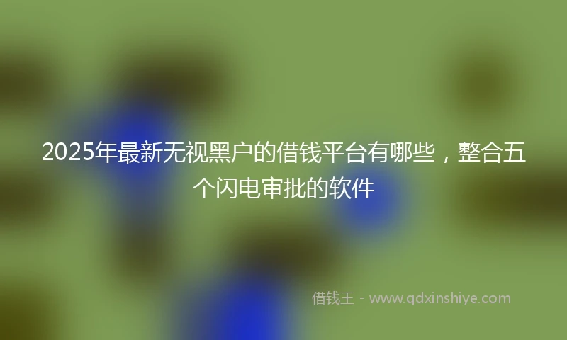 2025年最新无视黑户的借钱平台有哪些，整合五个闪电审批的软件