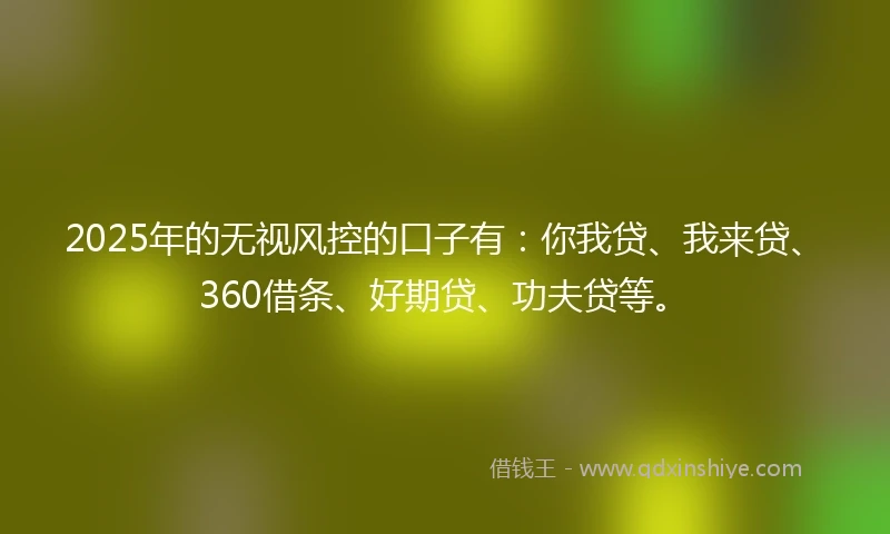 2025年的无视风控的口子有：你我贷、我来贷、360借条、好期贷、功夫贷等。