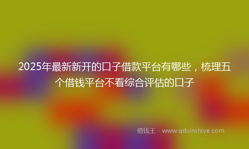 2025年最新新开的口子借款平台有哪些，梳理五个借钱平台不看综合评估的口子