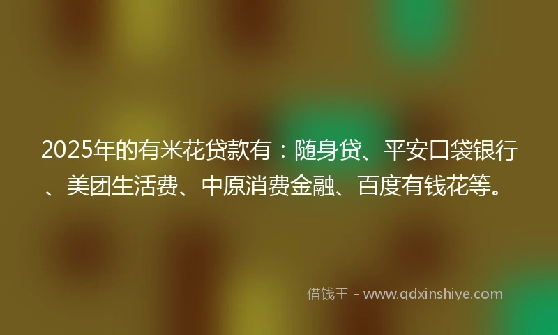 2025年的有米花贷款有：随身贷、平安口袋银行、美团生活费、中原消费金融、百度有钱花等。