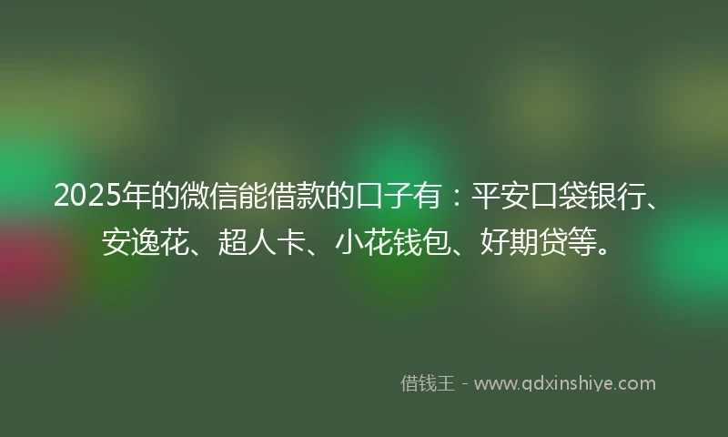 2025年的微信能借款的口子有：平安口袋银行、安逸花、超人卡、小花钱包、好期贷等。