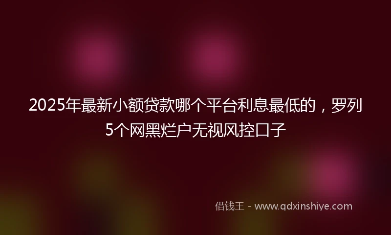 2025年最新小额贷款哪个平台利息最低的,罗列5个网黑烂户无视风控口子